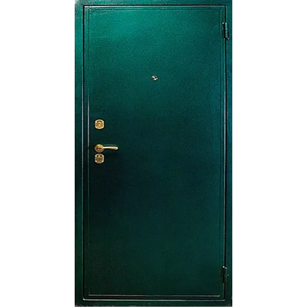 Техническая дверь входная металлическая TH-007